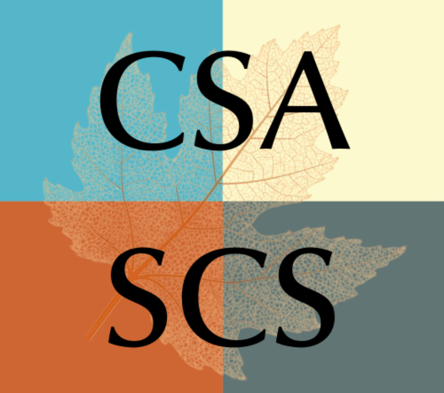 Malak El-Outa Malak El-Outa